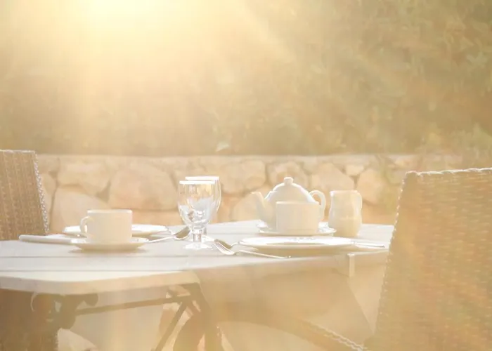 Rural Son Tretze - Adults Only 3*