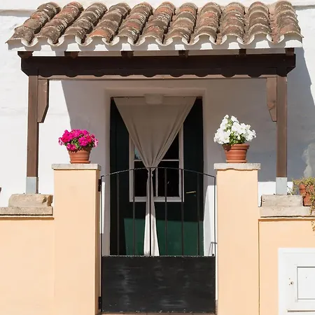 Szálloda Rural Son Tretze - Adults Only 3*