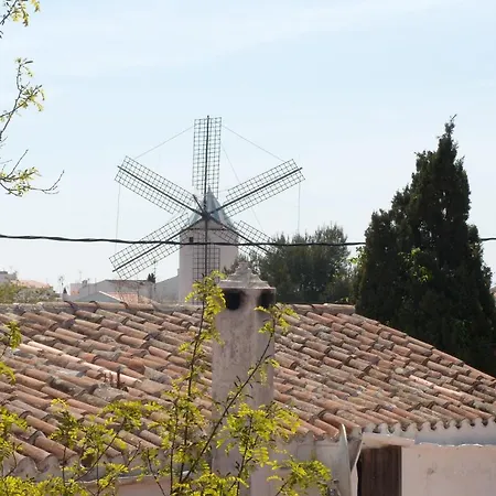 Szálloda Rural Son Tretze - Adults Only 3*